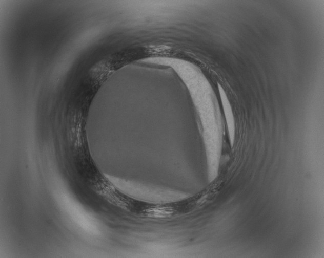 X0000082170525200702092247