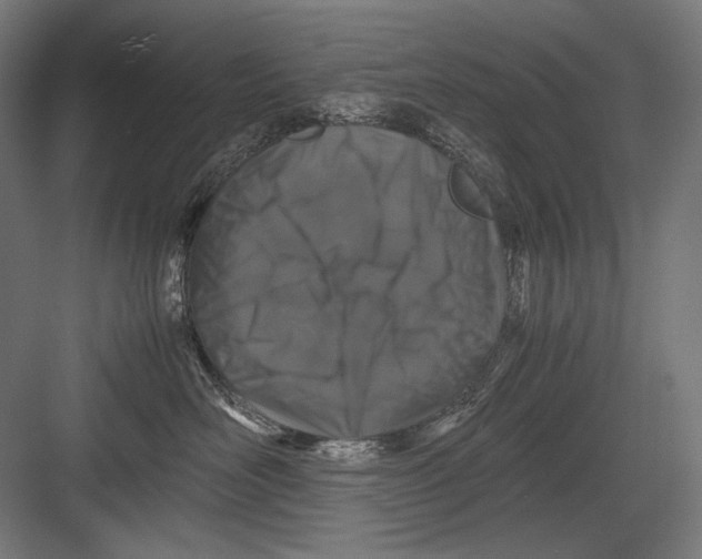 X0000082170526200702092247