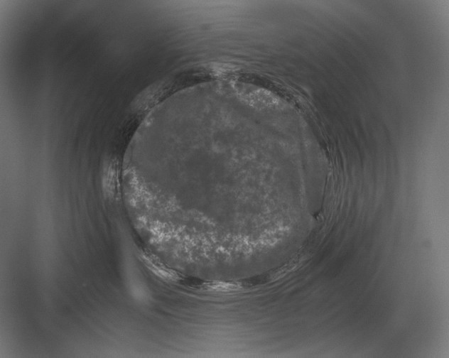 X0000082170527200702092247