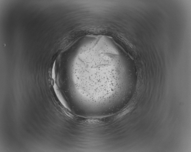 X0000082170528200702092246