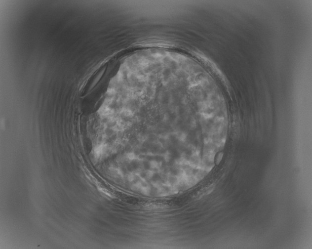 X0000082170529200702092246