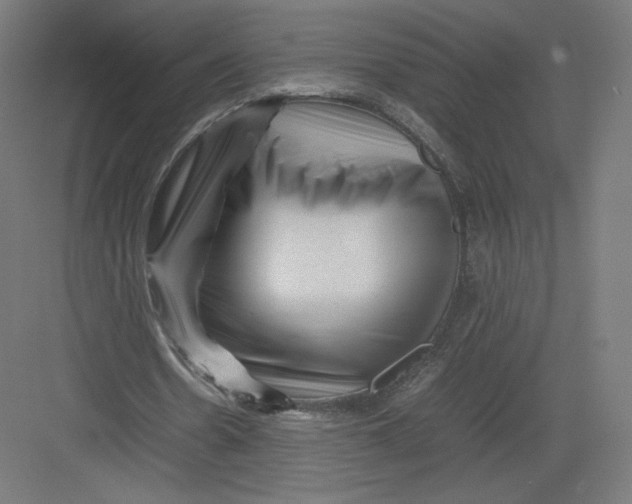 X0000082170530200702092246