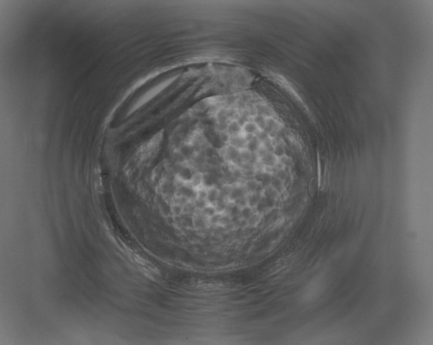 X0000082170531200702092246