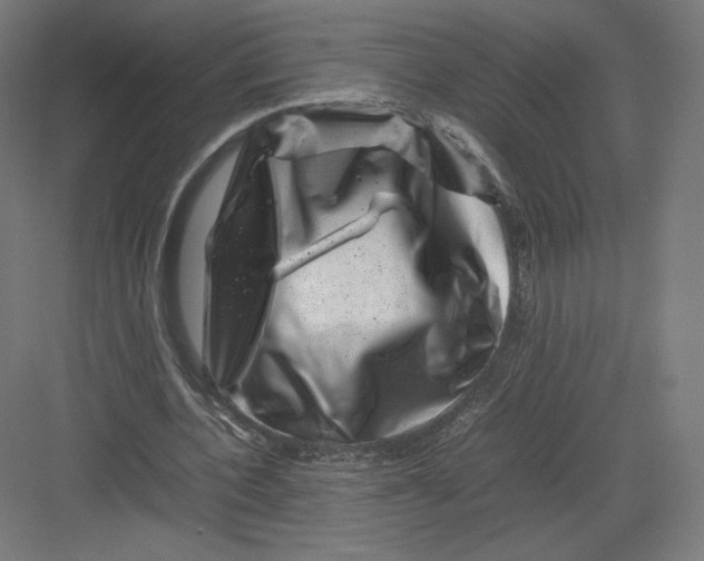 X0000082170532200702092246