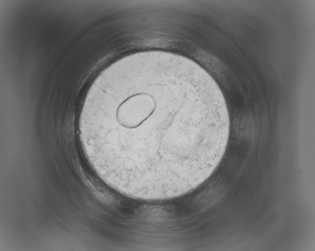 X0000082170534200702092246