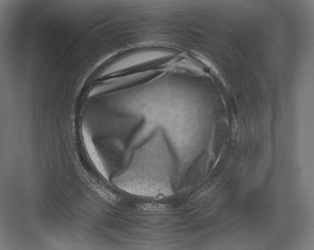 X0000082170535200702092246