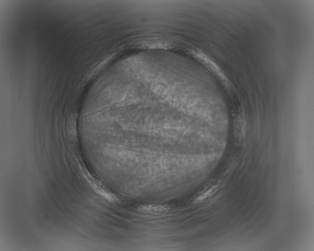 X0000082170537200702092246