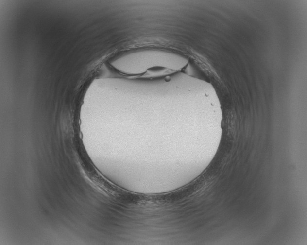 X0000082170538200702092246