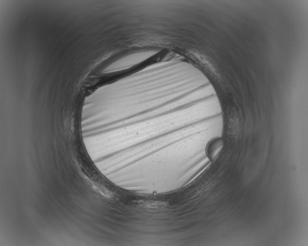 X0000082170539200702092246