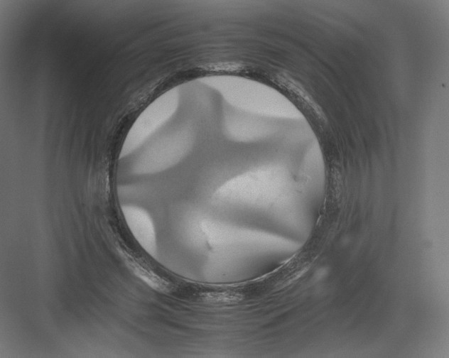 X0000082170541200702092246