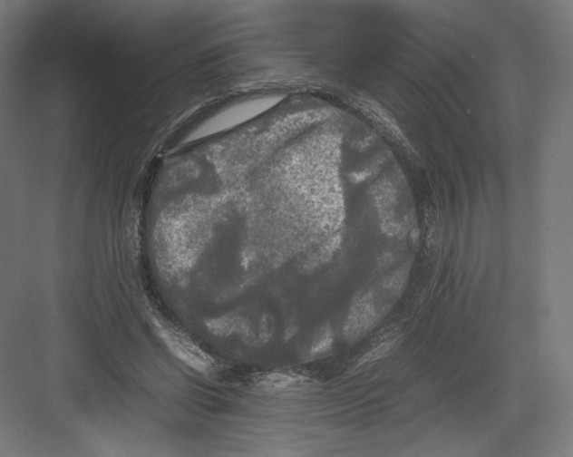 X0000082170542200702092246