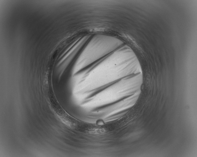 X0000082170543200702092246