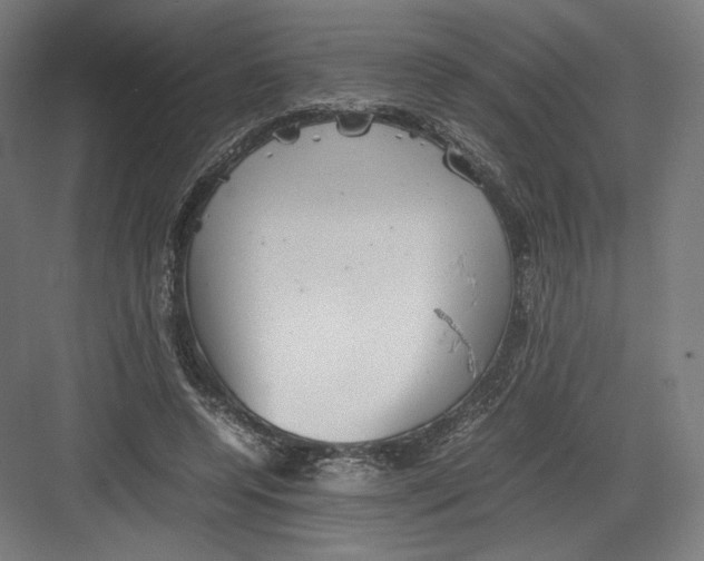 X0000082170544200702092246