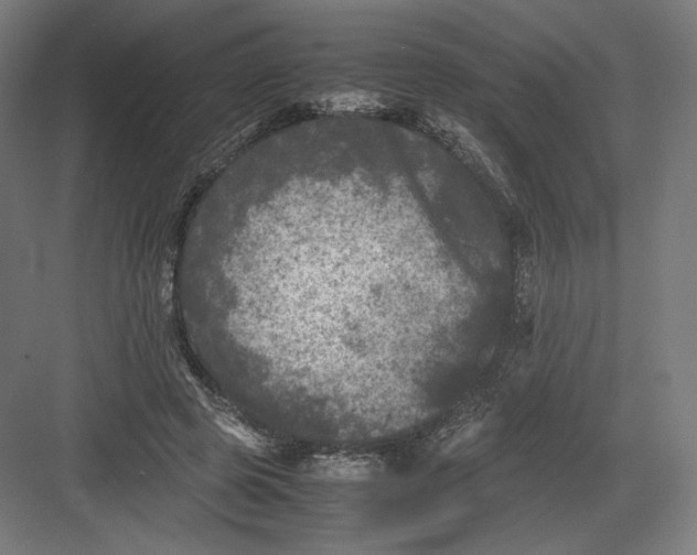 X0000082170545200702092246