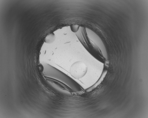 X0000082170546200702092246