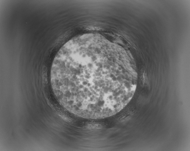 X0000082170547200702092246