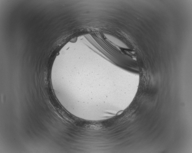 X0000082170548200702092246