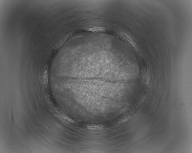 X0000082170549200702092246