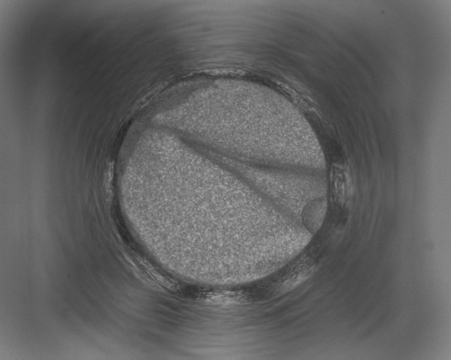 X0000082170550200702092246