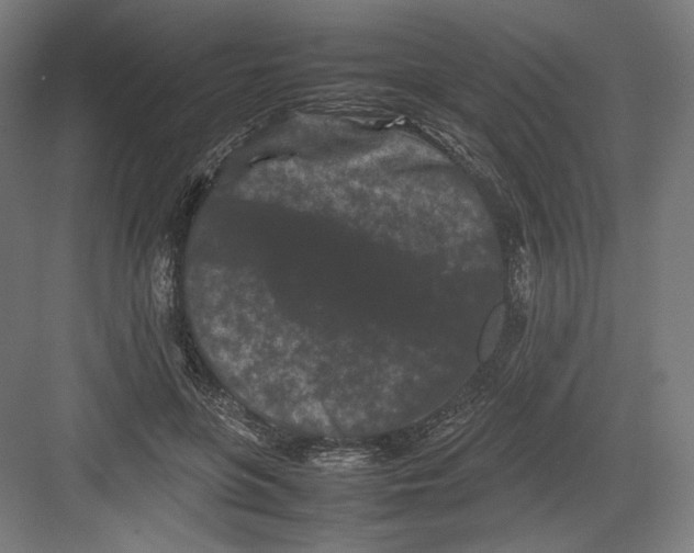 X0000082170551200702092246