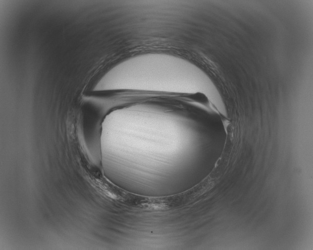 X0000082170552200702092246