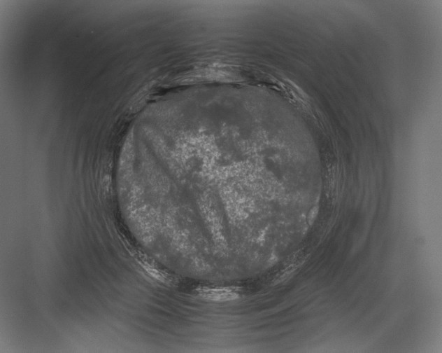 X0000082170553200702092246