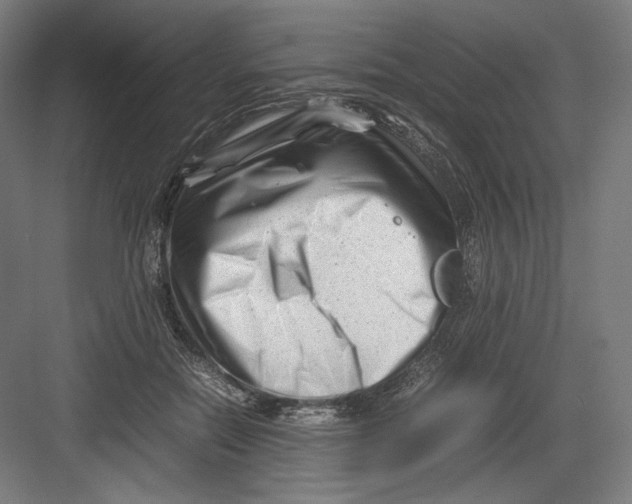 X0000082170554200702092246