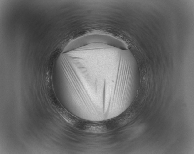 X0000082170555200702092246