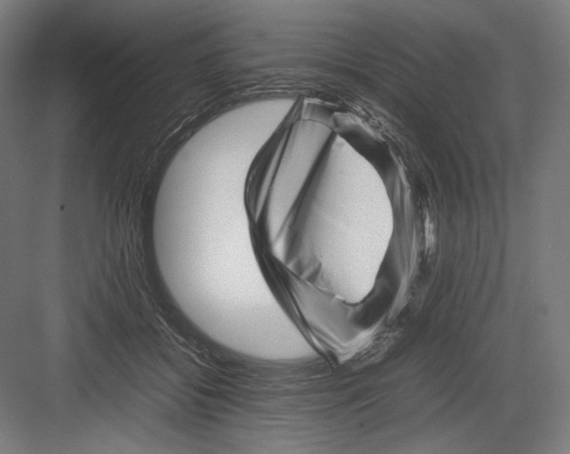 X0000082170556200702092246