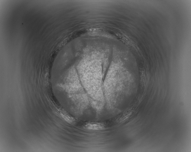 X0000082170557200702092246