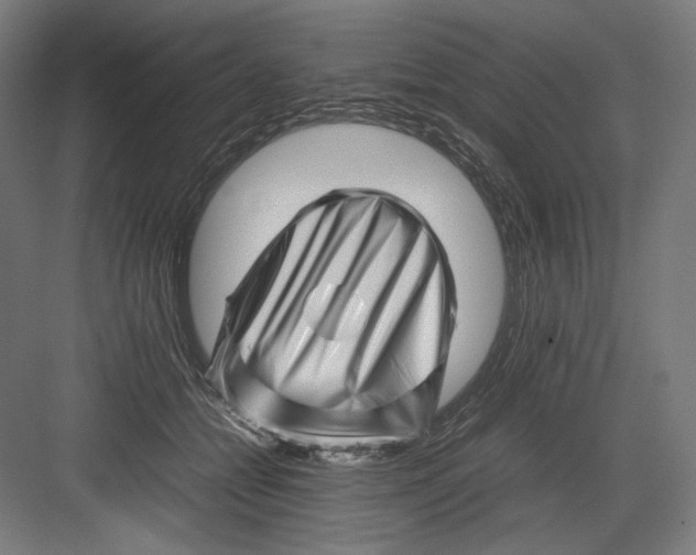 X0000082170558200702092246