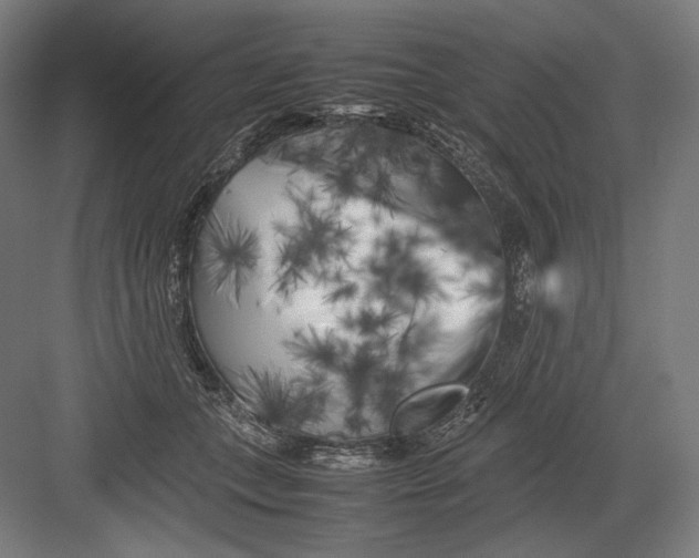 X0000082170559200702092246