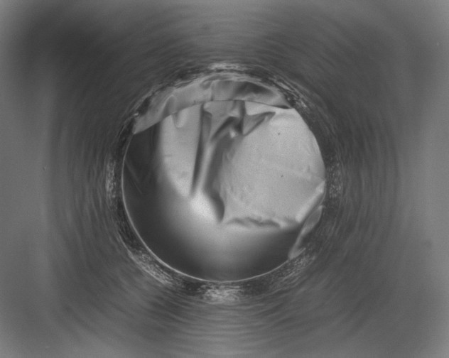 X0000082170560200702092246