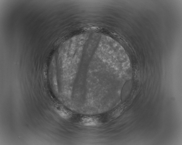 X0000082170561200702092246