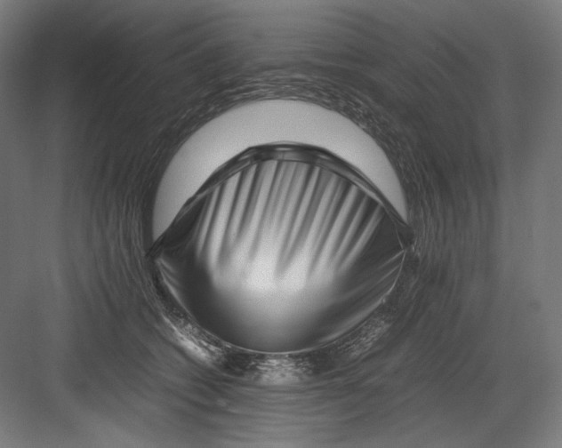 X0000082170562200702092246