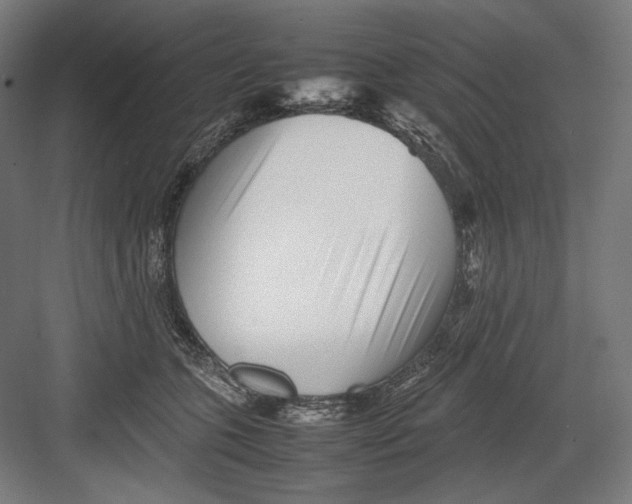 X0000082170563200702092246