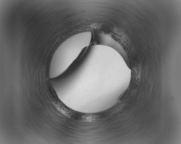 X0000082170564200702092246