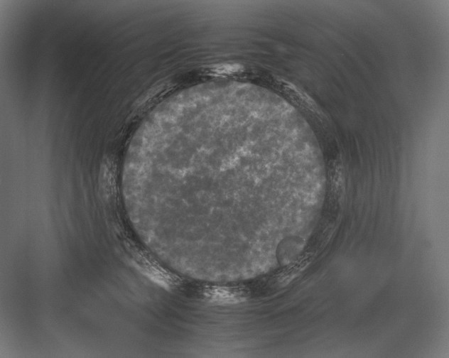 X0000082170565200702092246