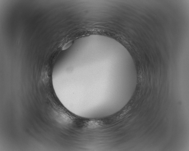 X0000082170566200702092246