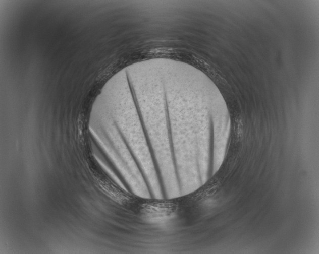 X0000082170567200702092246