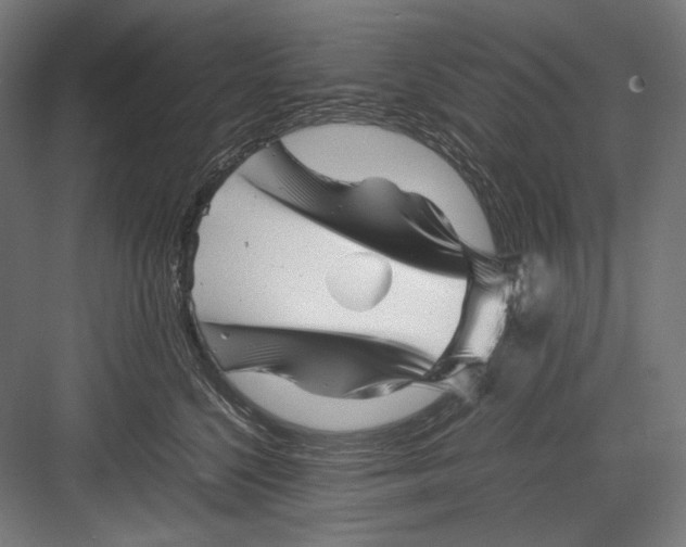 X0000082170568200702092246