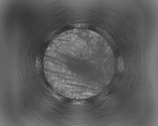 X0000082170569200702092246