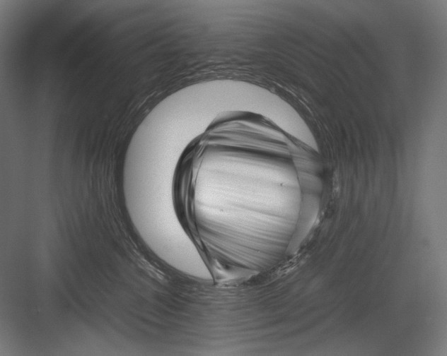 X0000082170572200702092246