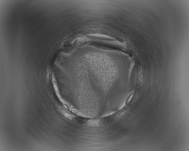 X0000082170574200702092246