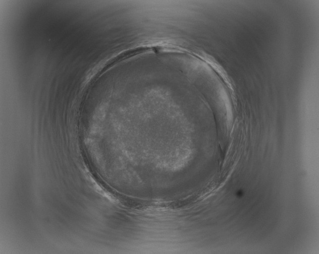 X0000082170577200702092246