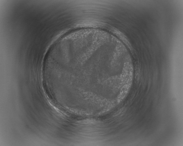 X0000082170578200702092246