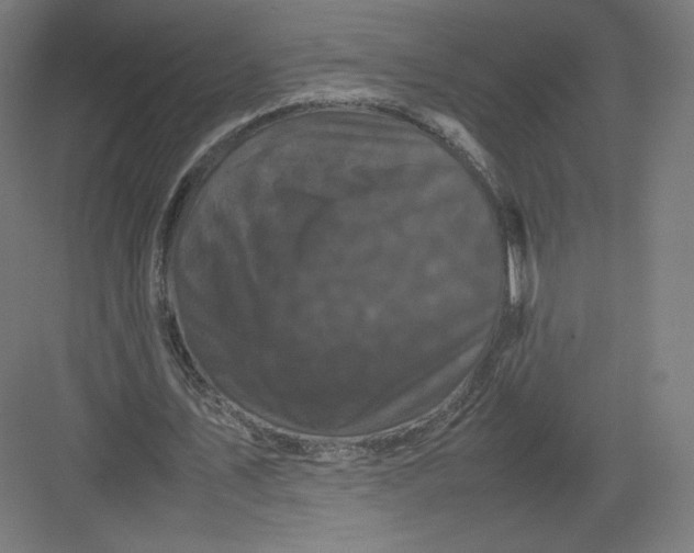 X0000082170579200702092246