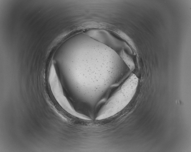 X0000082170581200702092246