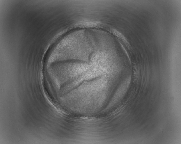 X0000082170582200702092246