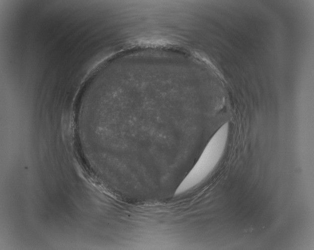 X0000082170583200702092246